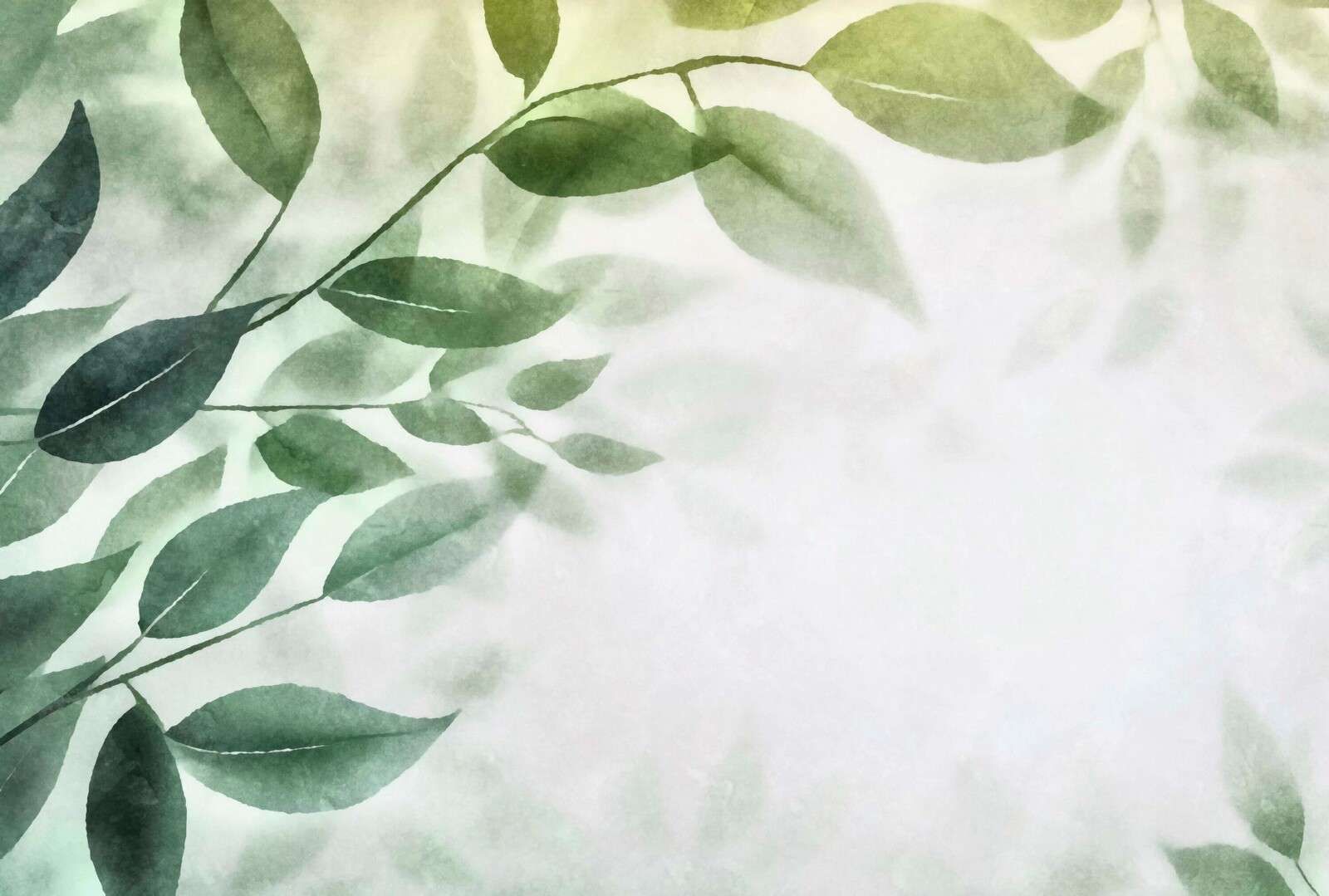 Calm foliage green leaves