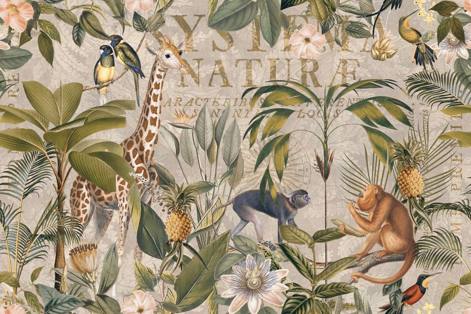 Nostalgic jungle wild animal paradise