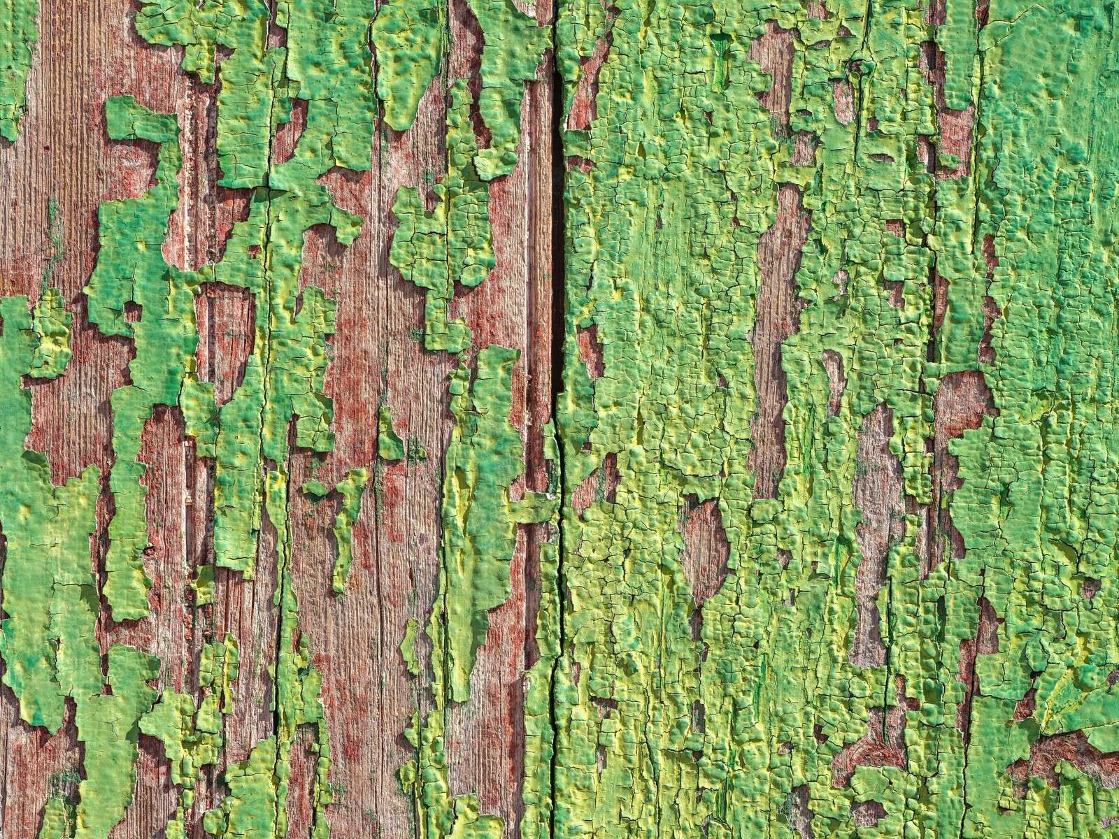 Verweerd hout met groene verflaag
