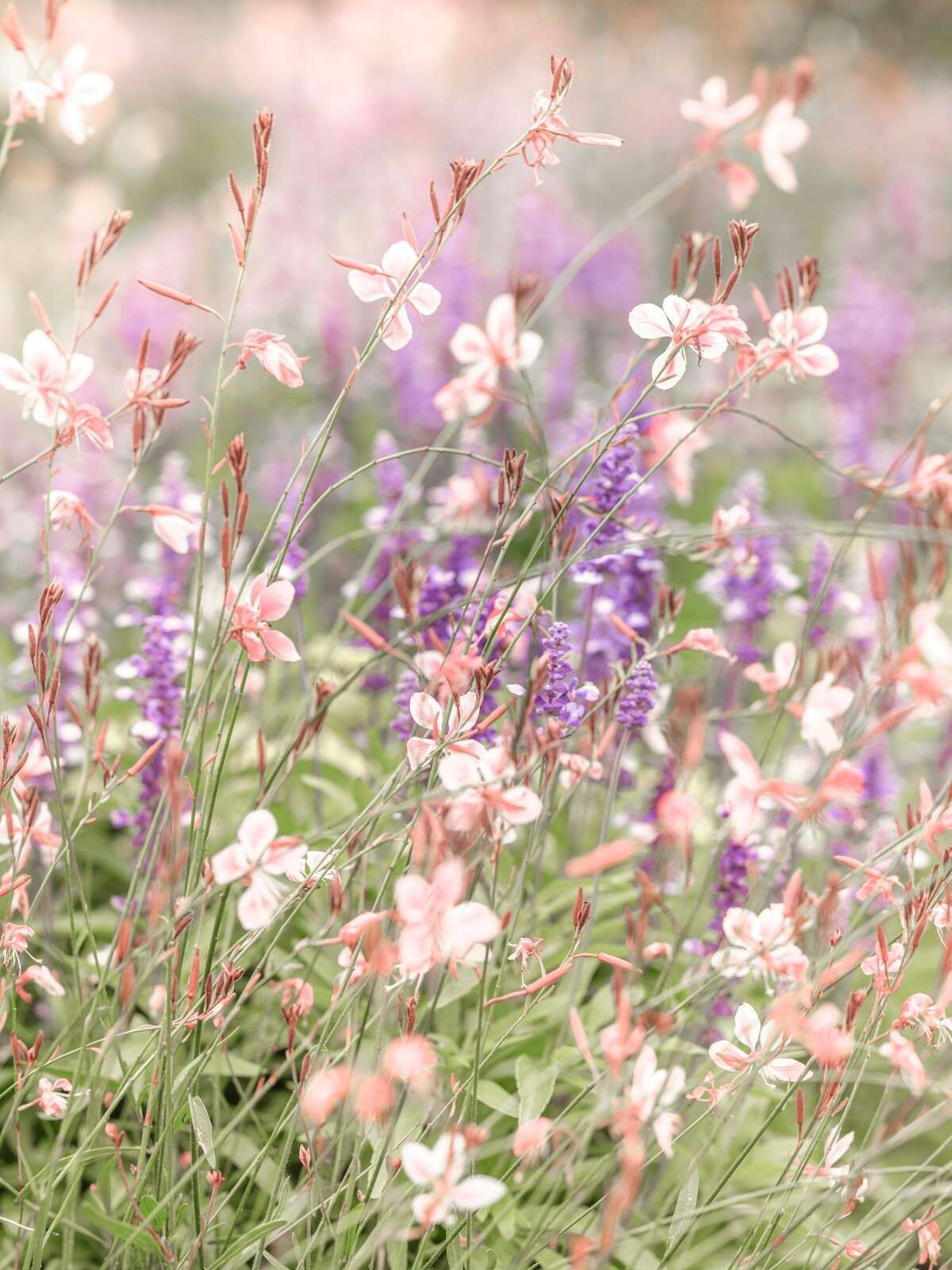 Wilde bloemen in zachte pasteltinten