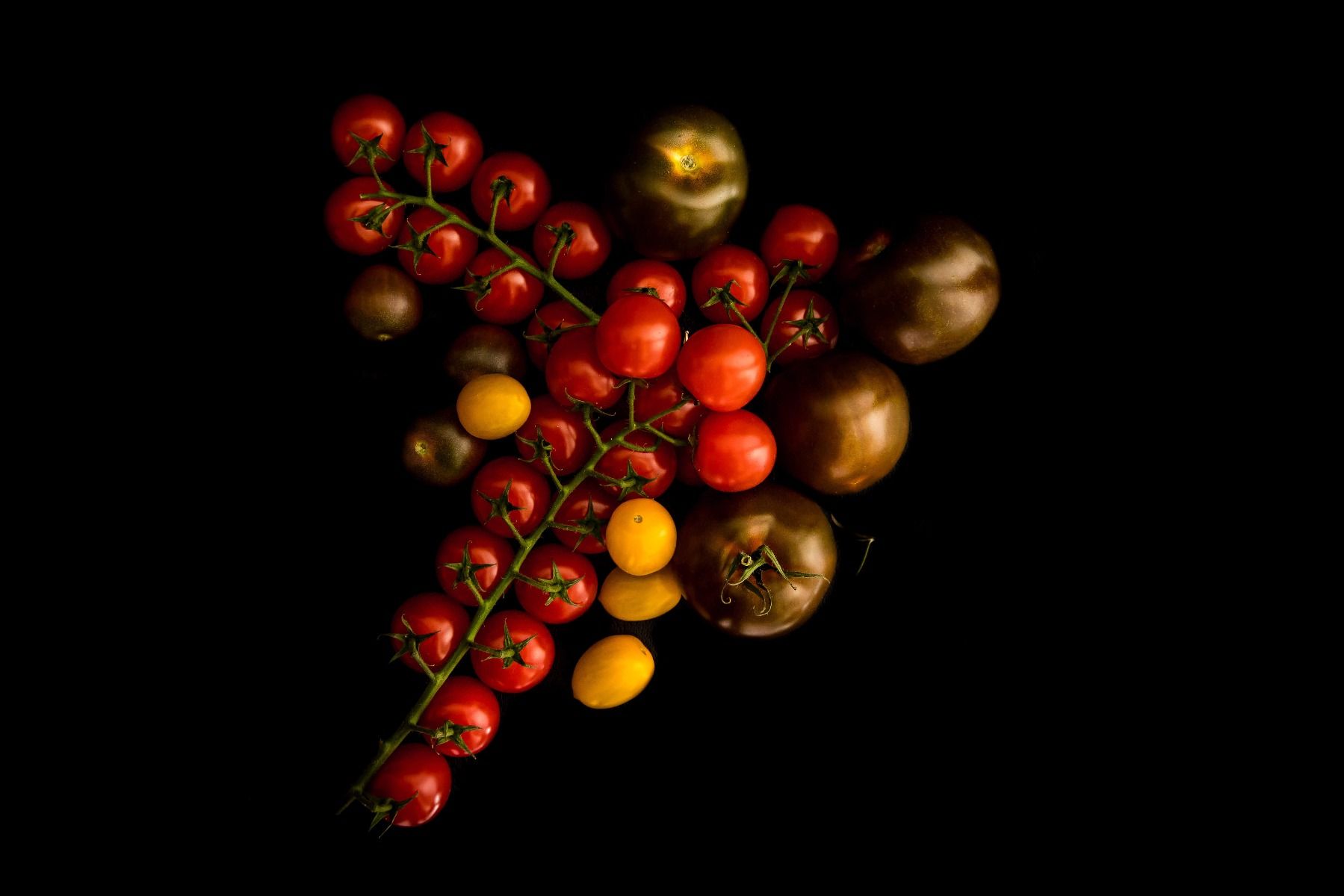 Tomaten