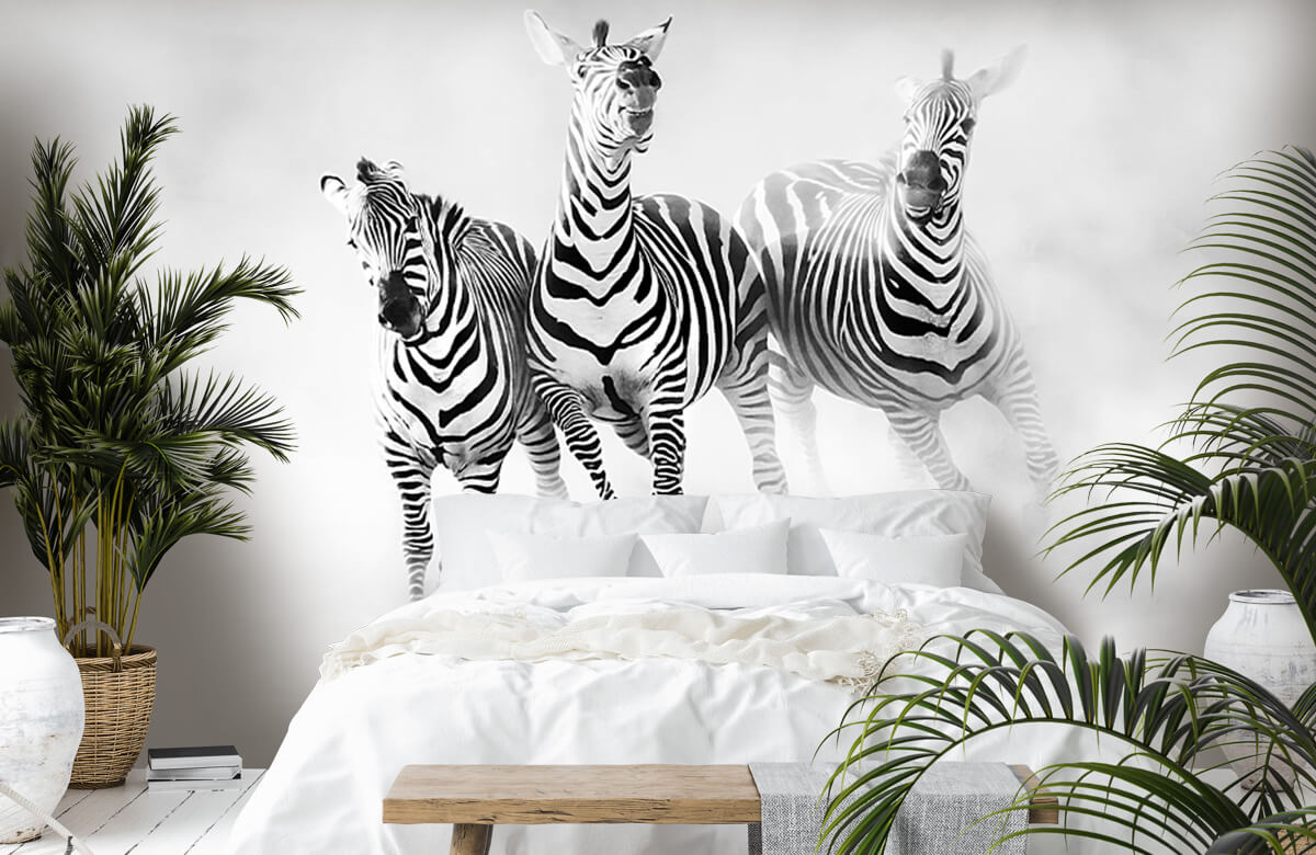Wilde dieren Zebras 2