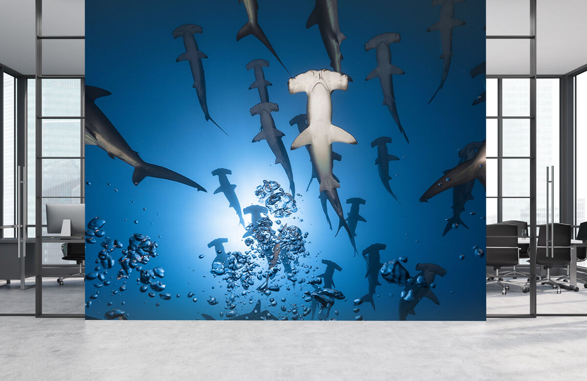Underwater Hammerhead Shark 7