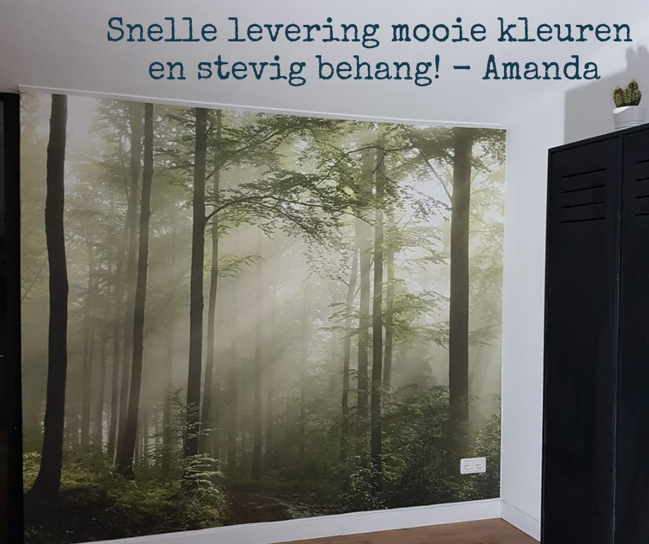 Behang met een groen bos in de mist